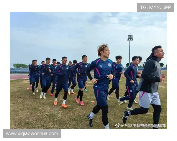 南京3比2石家庄功夫热身赛报 南京3比2石家庄功夫热身赛报