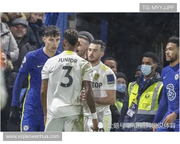 小雷德克纳普批哈弗茨倒地无点球过于荒唐 小雷德克纳普批哈弗茨倒地无点球过于荒唐